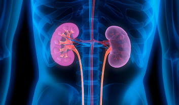 Chronic Kidney Disease