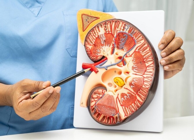 Best Vesicoureteral Reflux Surgeon in Noida, Sector 39