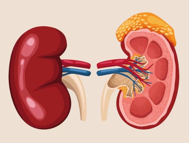 Best Chronic Kidney Disease hospital in Preet Vihar