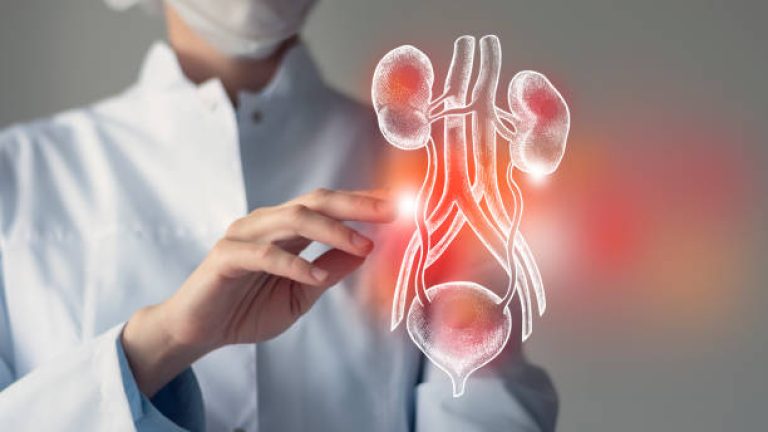 Female doctor touches virtual Bladder and Kidneys in hand. Blurred photo, handrawn human organ, highlighted red as symbol of disease. Healthcare hospital service concept stock photo